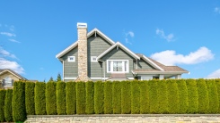 House behind tall hedge